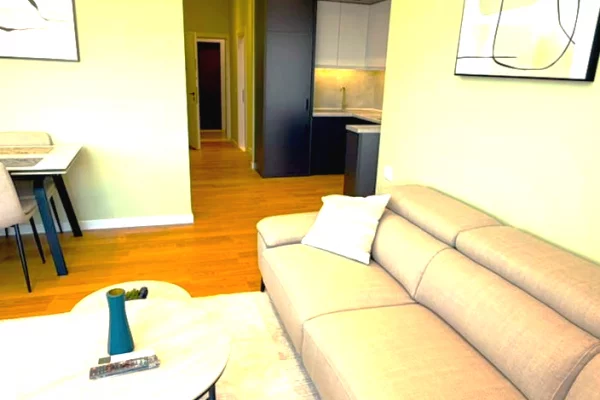 Shtepi ne shitje Apartament ne Tirane, 2+1, Mobilimi E mobiluar, Pagesa 235,000  Euro.