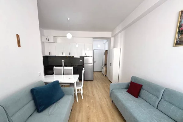 Shtepi ne shitje Apartament ne Tirane, 1+1, Mobilimi E mobiluar, Pagesa 1,050,000  Euro.
