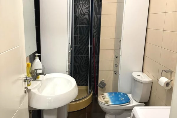Shtepi ne shitje Apartament ne Tirane, 1+1, Mobilimi E mobiluar, Pagesa 1,290,000,000  Leke.