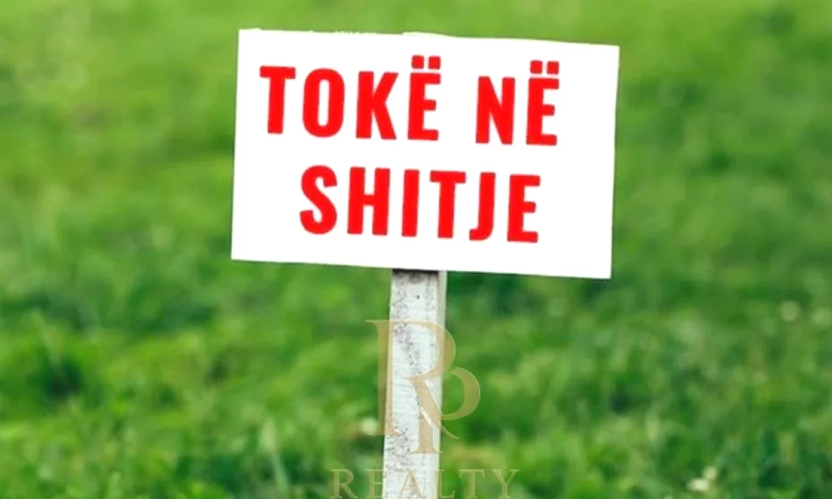 SHITET TOKE NE LUNDER, TIRANE