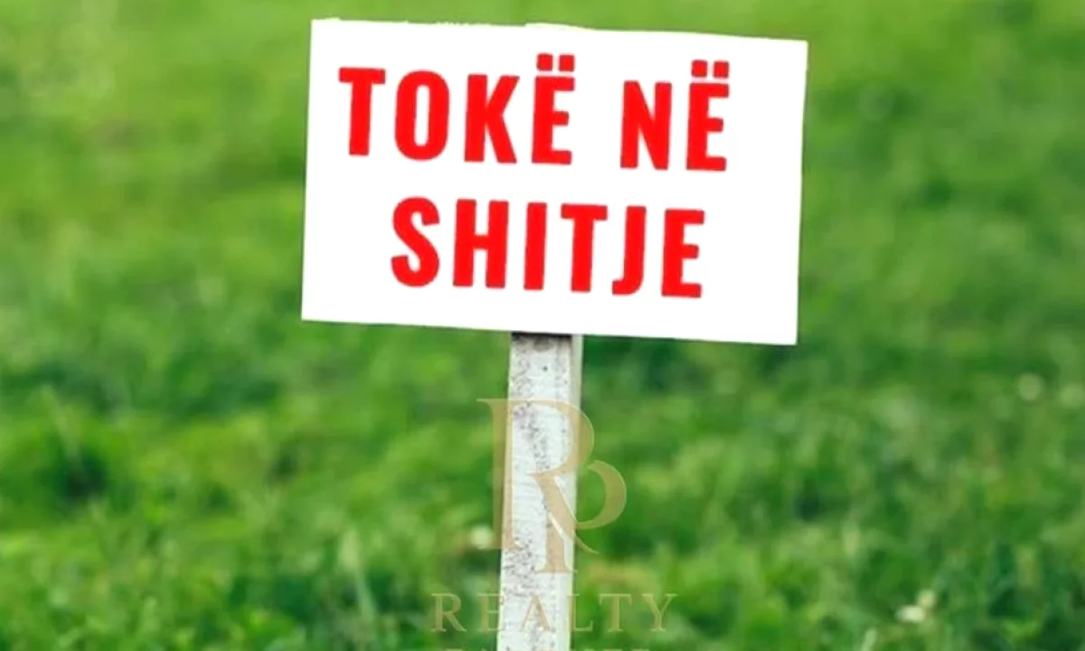 SHITET TOKE NE LUNDER