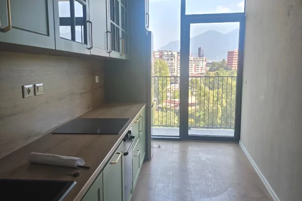 Ambient biznesi me qera 3+1 ne Tirane - 1,600 Euro