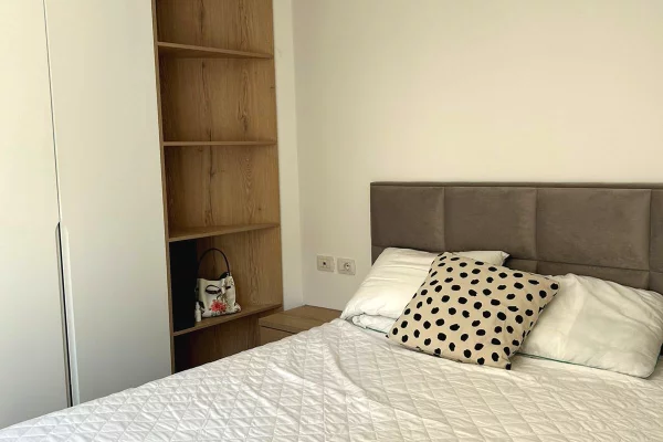 Shtepi me qera Apartament ne Tirane, 1+1, Mobilimi E mobiluar, Pagesa 65,000  Leke.