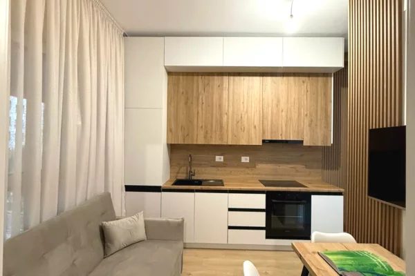 Shtepi me qera 1+1 ne Tirane - 38,000 Leke