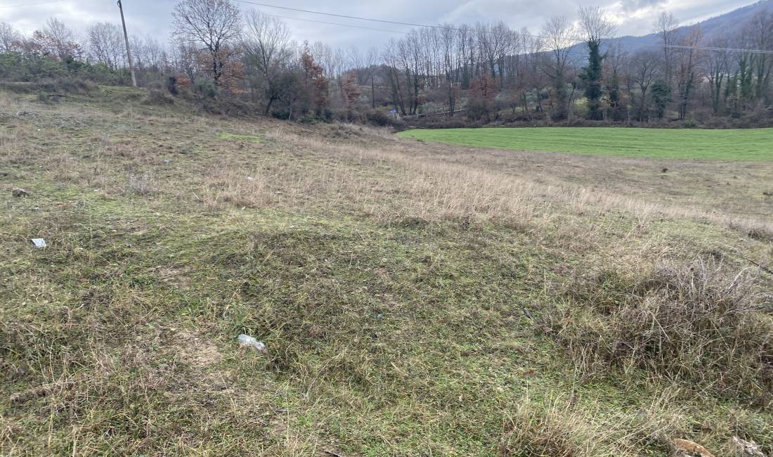 Shitet toke 4.500 m2 135.000 Euro (Petrele)