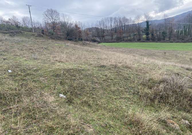 Shitet toke 4.500 m2 135.000 Euro (Petrele)