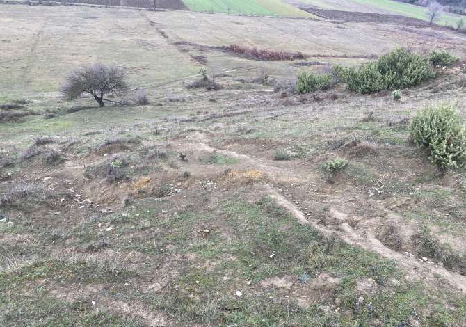 Shitet toke 4.500 m2 135.000 Euro (Petrele)