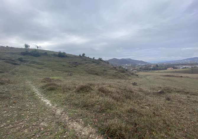 Shitet toke 4.500 m2 135.000 Euro (Petrele)