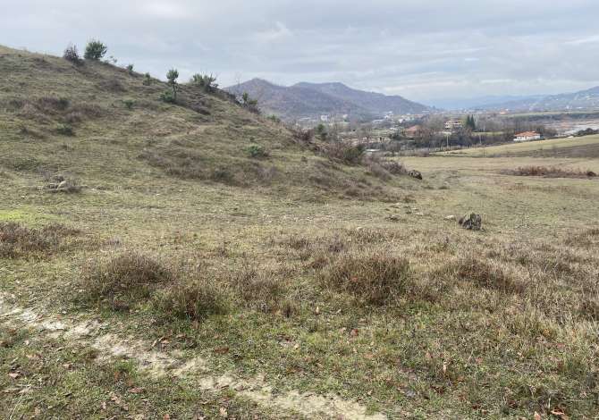 Shitet toke 4.500 m2 135.000 Euro (Petrele)