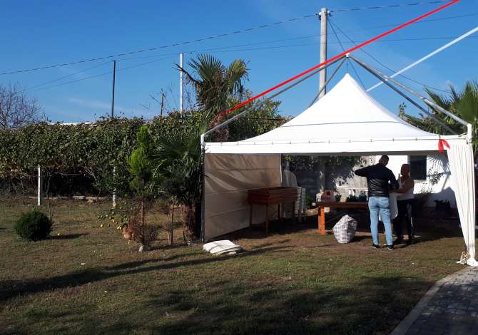 Holiday arrangements a Tirana - 50 Leke