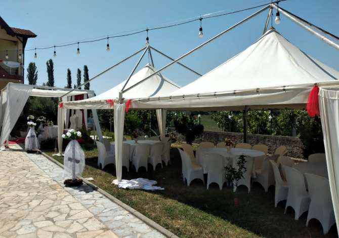 Holiday arrangements in Tirana - 20 Euro