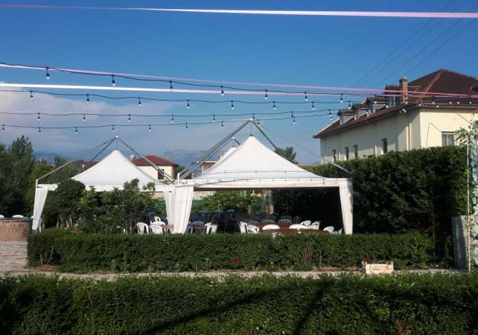 Holiday arrangements in Tirana - 50 Leke