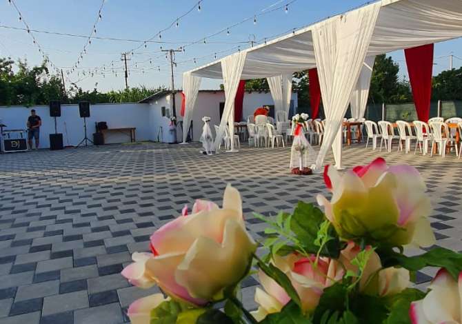 Holiday arrangements in Durres - 15 Leke