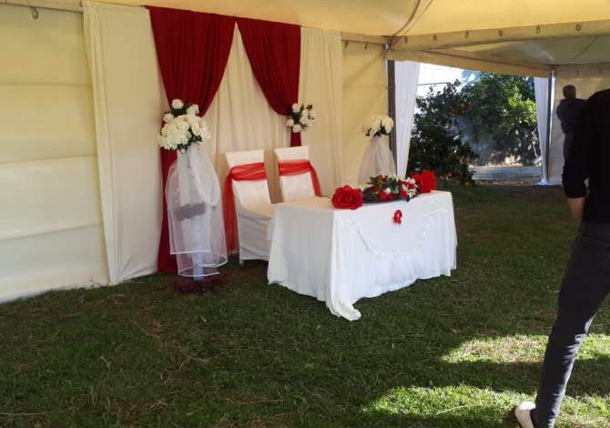 Holiday arrangements in Tirana - 0 