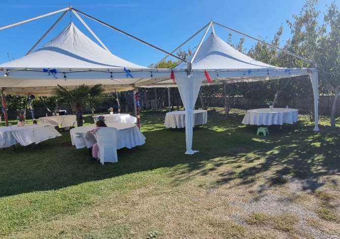 Sherbime Profesionale ne Lezhe - 20 Euro