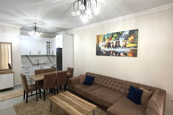 House for Rent 2+1 in Tirana - 550 Euro