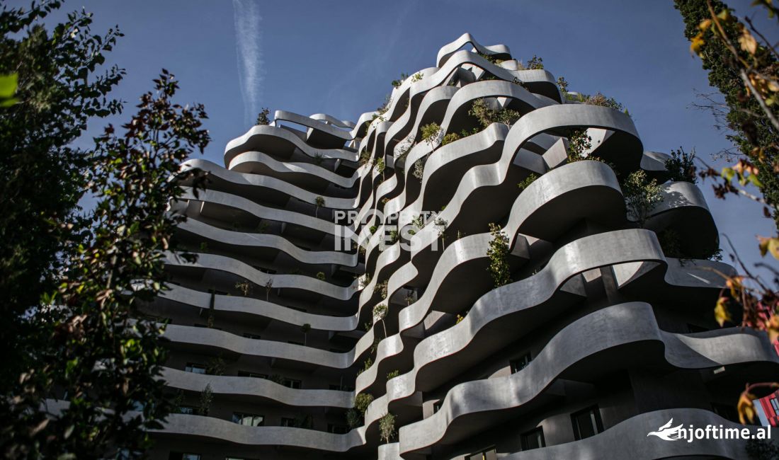 Shitet Ambient Zyrash Lion Park, rruga Elbasanit