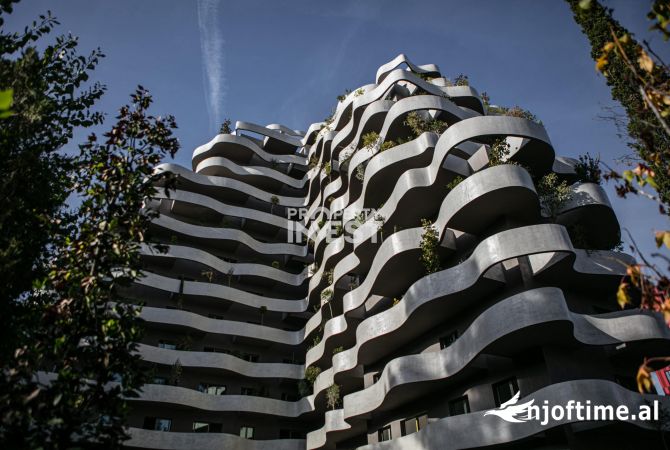 Shitet Ambient Zyrash Lion Park, rruga Elbasanit