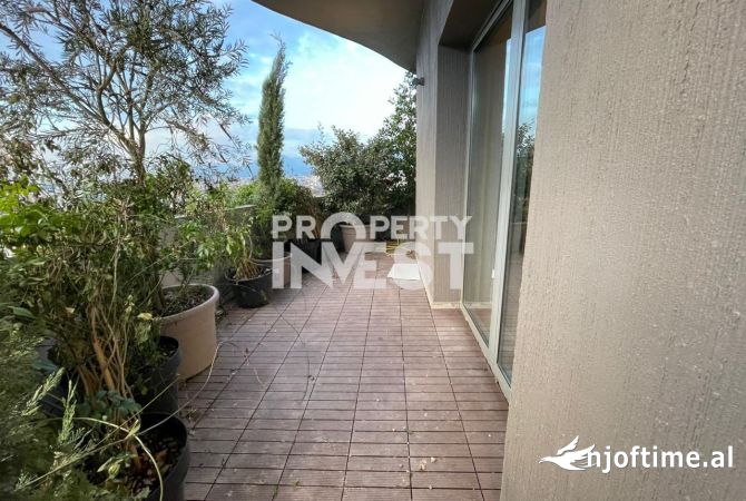 Shitet Ambient Zyrash Lion Park, rruga Elbasanit