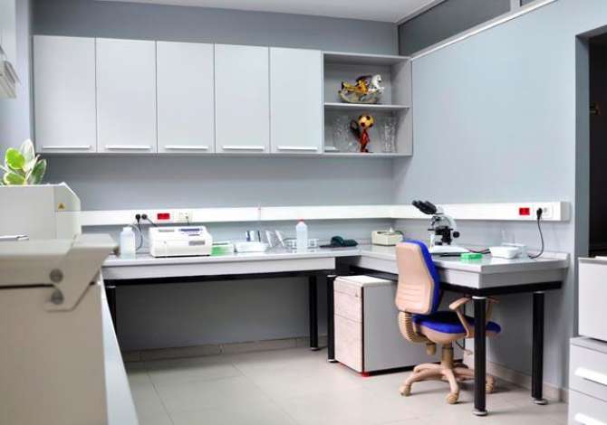 Klinike per te gjitha sherbimet gjinekologjike , ndjekje gjate shtatezanise