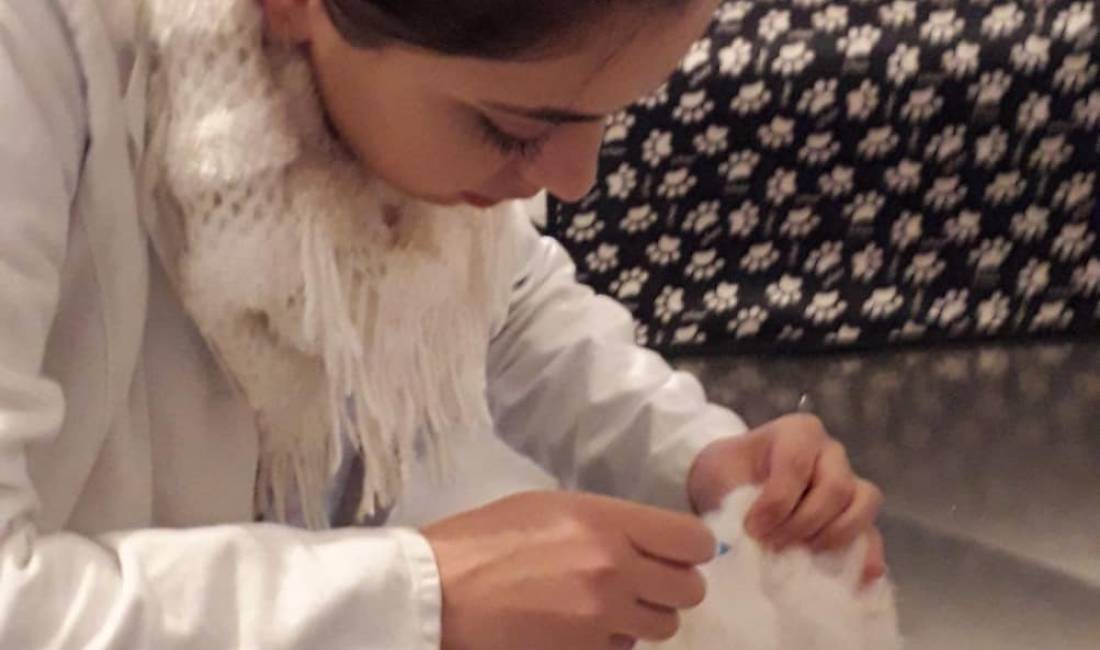 Klinika Veterinare Nardi ofron sherbime veternare, ushqime, medikamente dhe vaksinime per kafshet tuaja