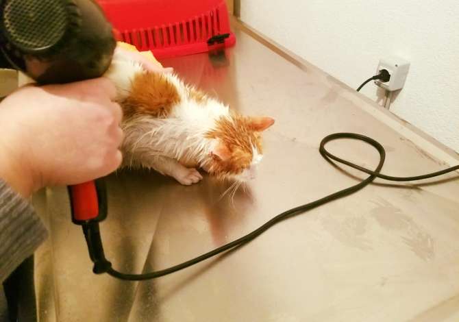 Health and Beauty Services in Tirana - 0 