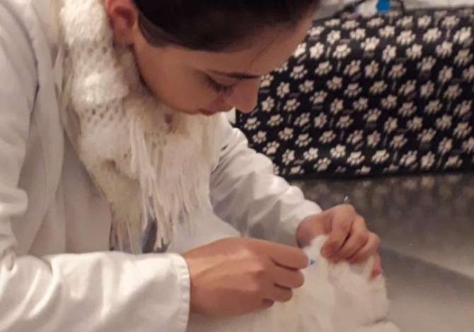 Health and Beauty Services in Tirana - 0 