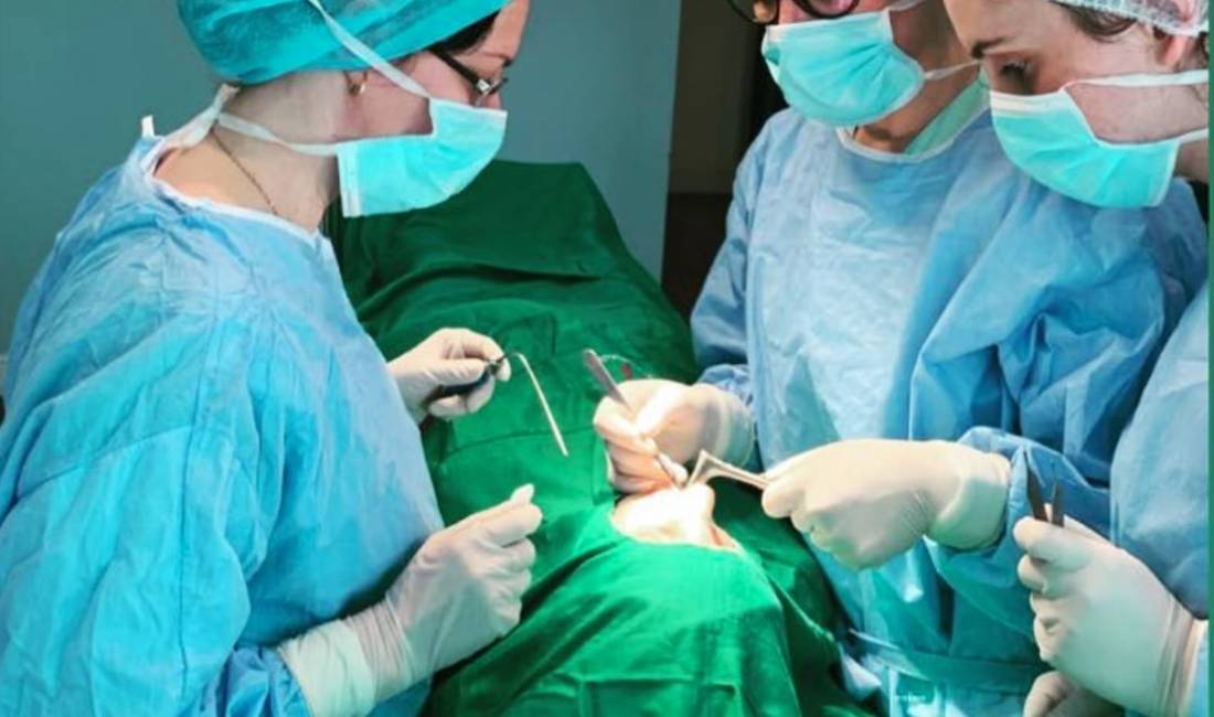 Klinika Euromedica ofron kirurgji plastike te Hundes, Vesheve, Qafes, Kapakeve dhe Borsave te syve, Lifting, Botox, Filler etj.