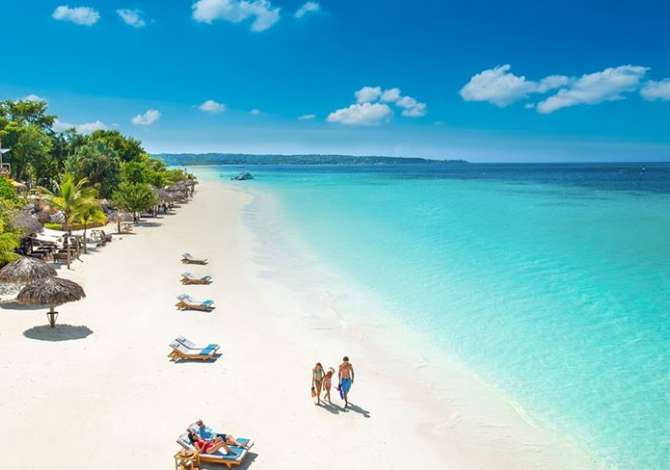 Sherbime Udhetimi dhe Transporti ne Tirane - 0 