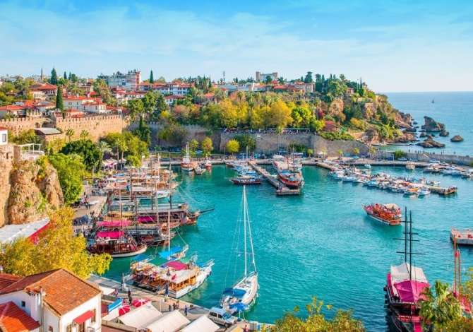 Sherbime Udhetimi dhe Transporti ne Tirane - 100 