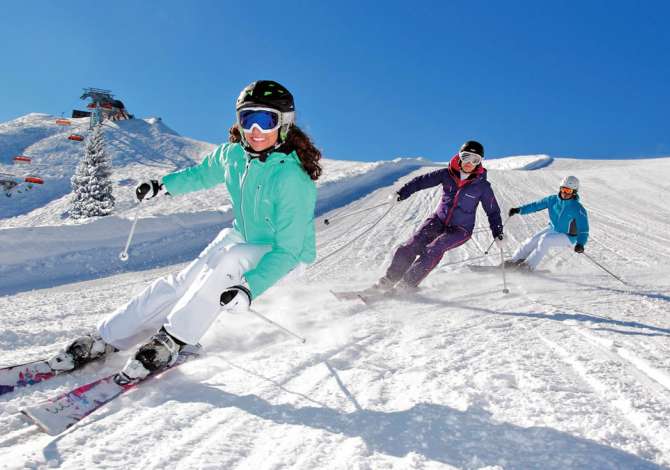 Sherbime Udhetimi dhe Transporti ne Tirane - 100 