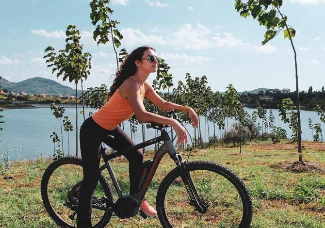 Sherbime Udhetimi dhe Transporti ne Tirane - 11 