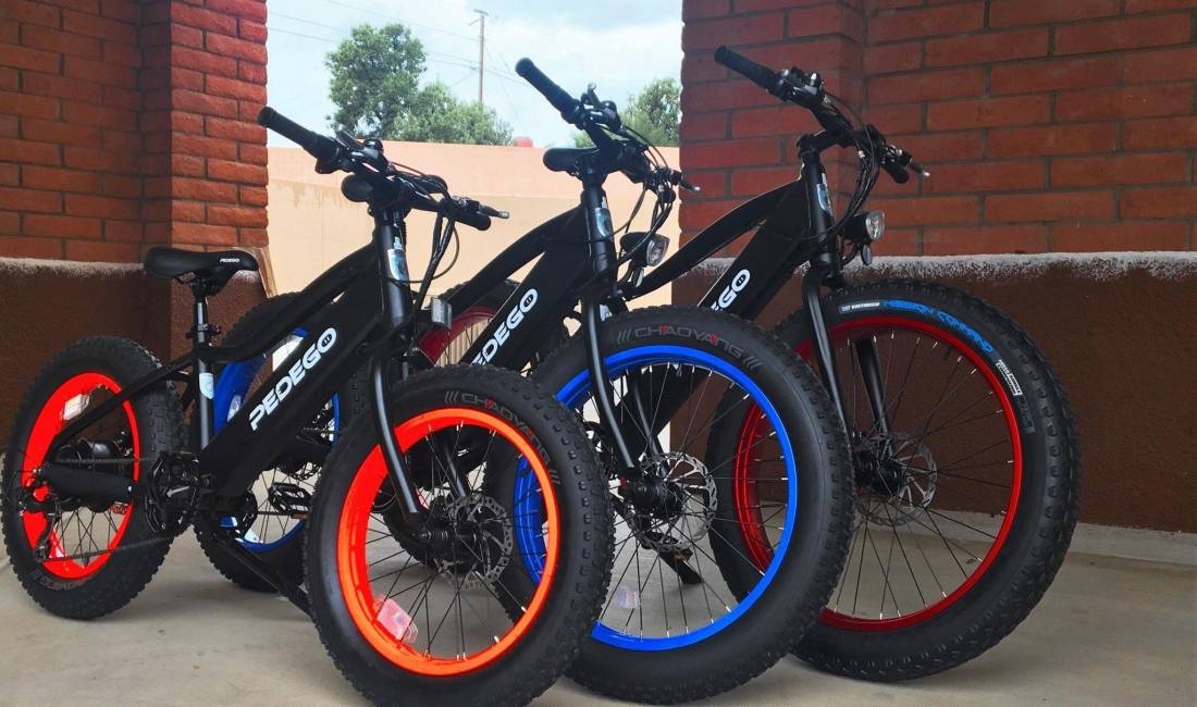 Electric Bicycles for RENT