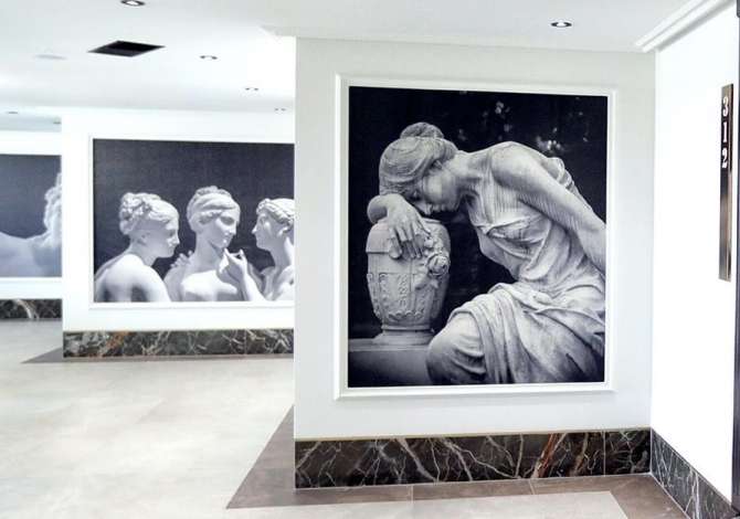 Servizi di srredamento a Tirana - 100 