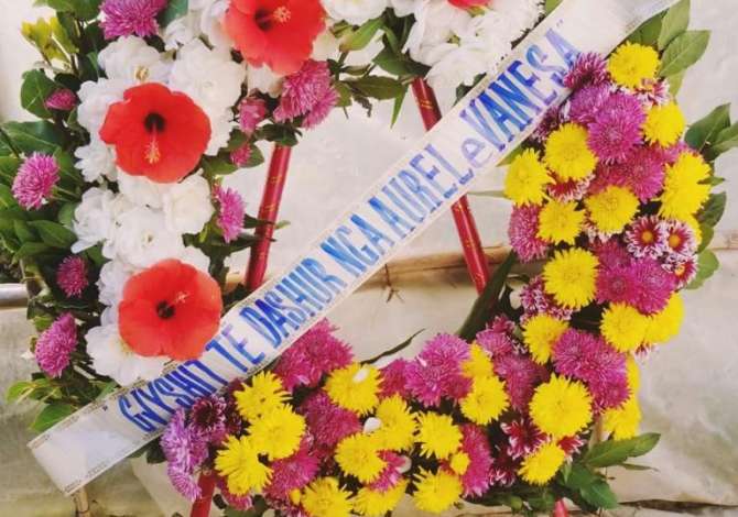 Servizi Funebri a Valona - 100 