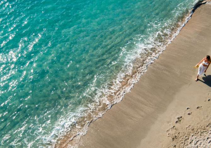 Sherbime Udhetimi dhe Transporti ne Tirane - 100 