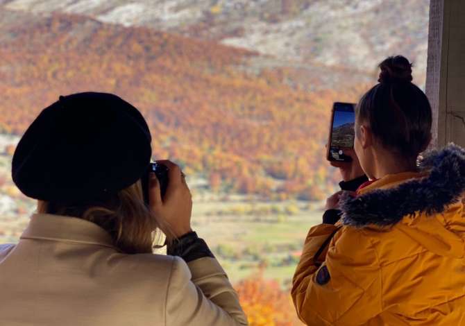 Sherbime Udhetimi dhe Transporti ne Tirane - 100 