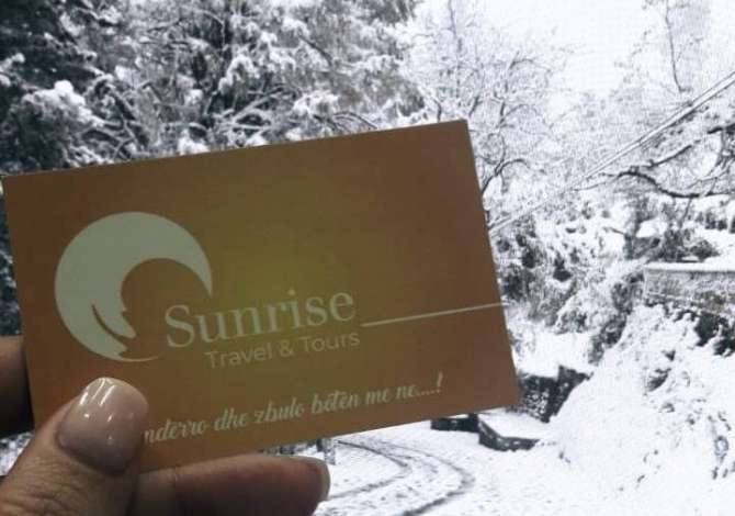 Sherbime Udhetimi dhe Transporti ne Tirane - 100 