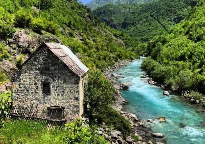 Agjensi udhetimi ofron bileta avioni/trageti/autobusi; paketa/guida turistike. 