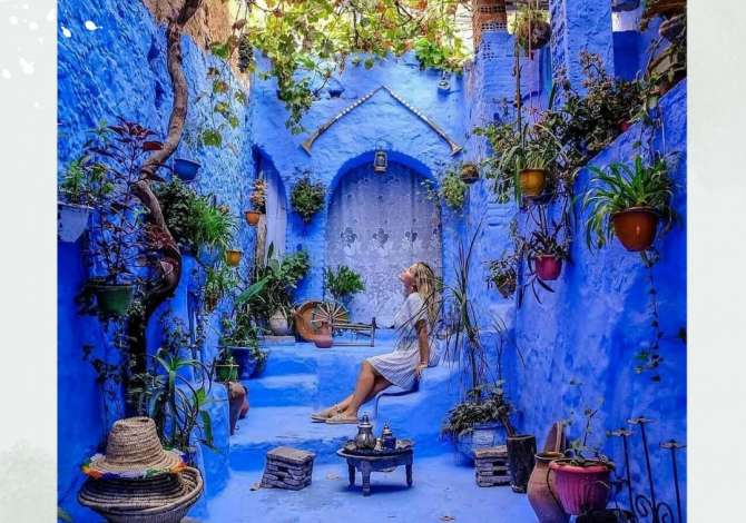 Sherbime Udhetimi dhe Transporti ne Tirane - 100 