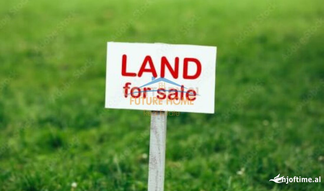 Shitet , Toke ne Kashar