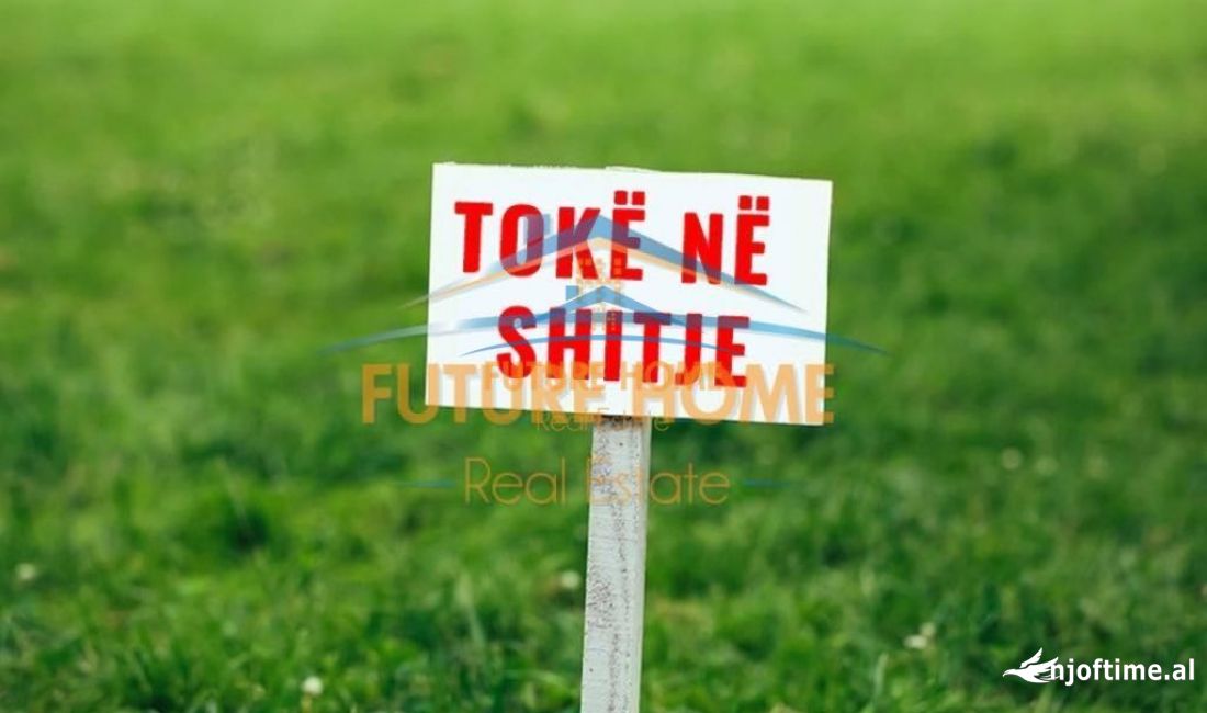 Shitet, Toke, Xhafzotaj, Durres.