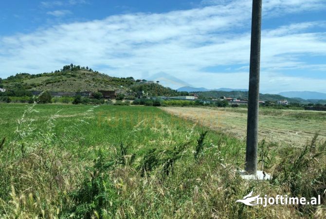 Shitet, Tokë, Vaqarr, Tirane.