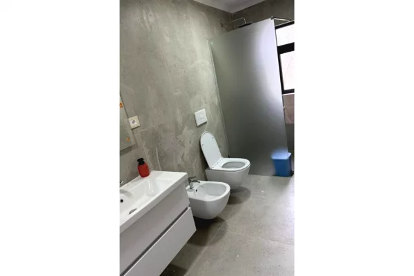 Shtepi me qera Apartament ne Tirane, 1+1, Mobilimi E mobiluar, Pagesa 500  Euro.
