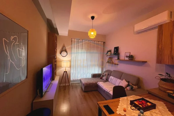 Shtepi ne shitje Apartament ne Tirane, 1+1, Mobilimi E mobiluar, Pagesa 101,000  Euro.