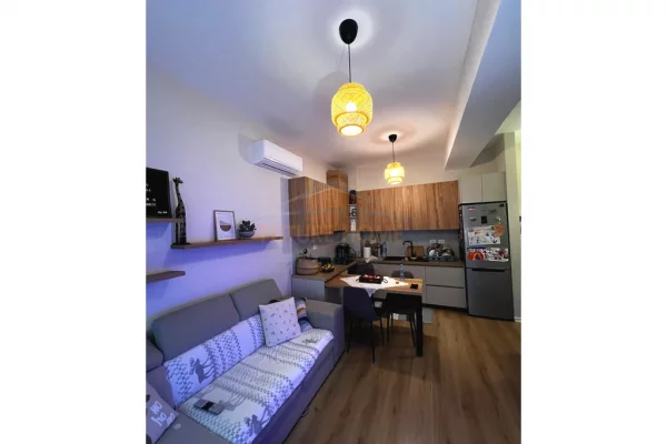 Shtepi ne shitje Apartament ne Tirane, 1+1, Mobilimi E mobiluar, Pagesa 101,000  Euro.