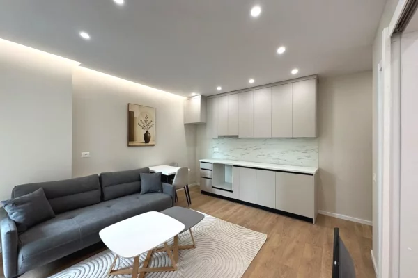 Shtepi ne shitje Apartament ne Tirane, 1+1, Mobilimi E mobiluar, Pagesa 12,900,000  Leke.