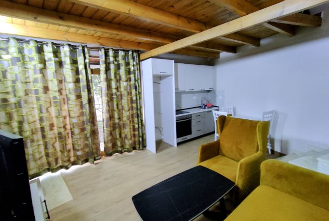 Shtepi me qera Apartament ne Tirane, 1+1, Mobilimi E mobiluar, Pagesa 300  Euro.