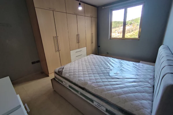 Shtepi me qera Apartament ne Tirane, 1+1, Mobilimi E mobiluar, Pagesa 300  Euro.