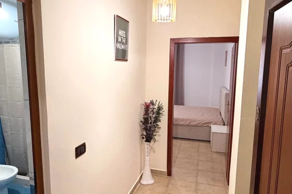 Shtepi me qera Apartament ne Tirane, 1+1, Mobilimi E mobiluar, Pagesa 300  Euro.